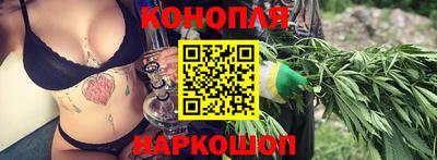 сатива Будённовск