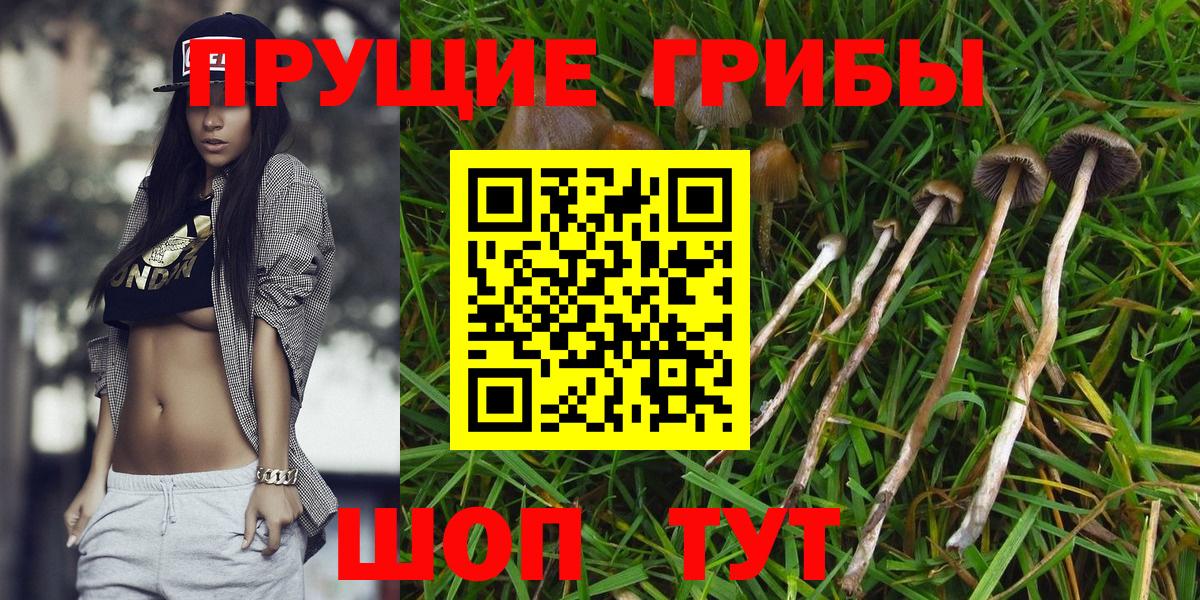 Псилоцибиновые грибы мухоморы Сарапул