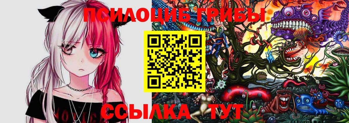 Сарапул  Галлюциногенные грибы мицелий  Псилоцибиновые грибы MAGIC MUSHROOMS  где купить наркоту  Вход с VPN 